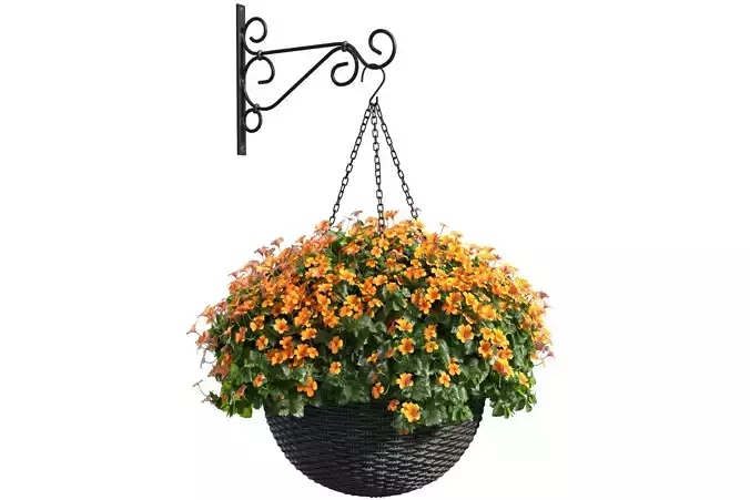Hanging basket flowerpot rattan pot with flowers
