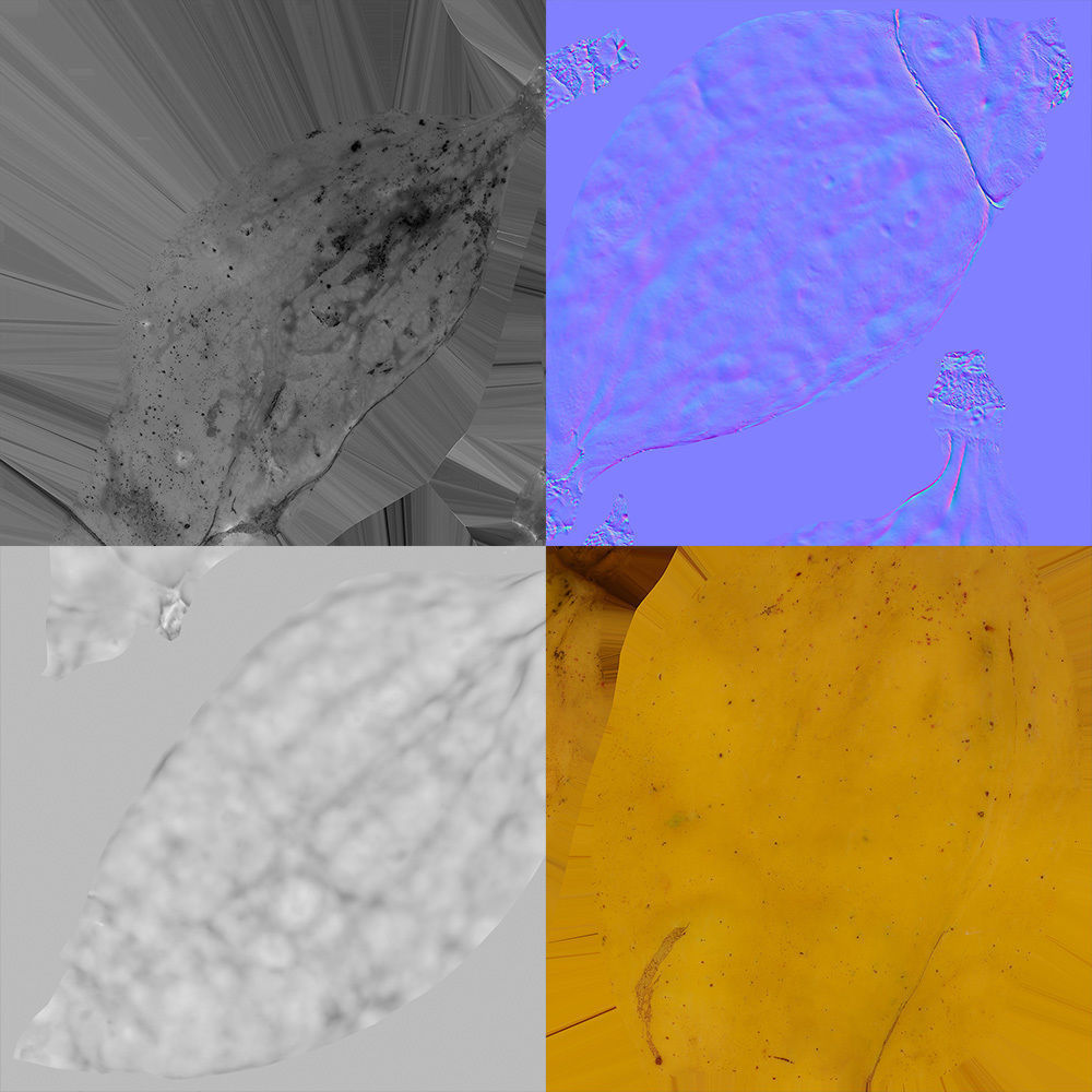 Chaenomeles 3D model_8