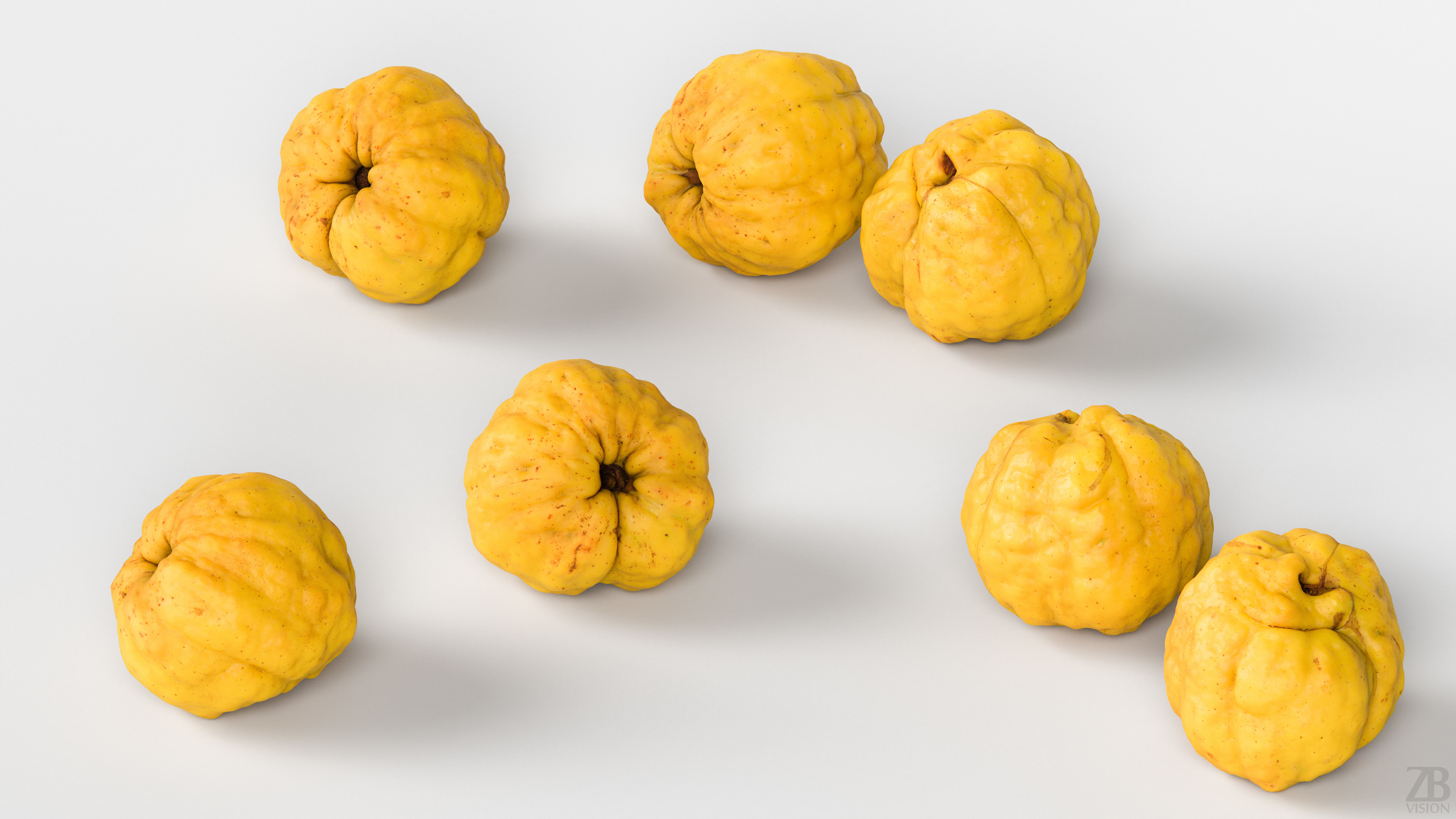Chaenomeles 3D model_2