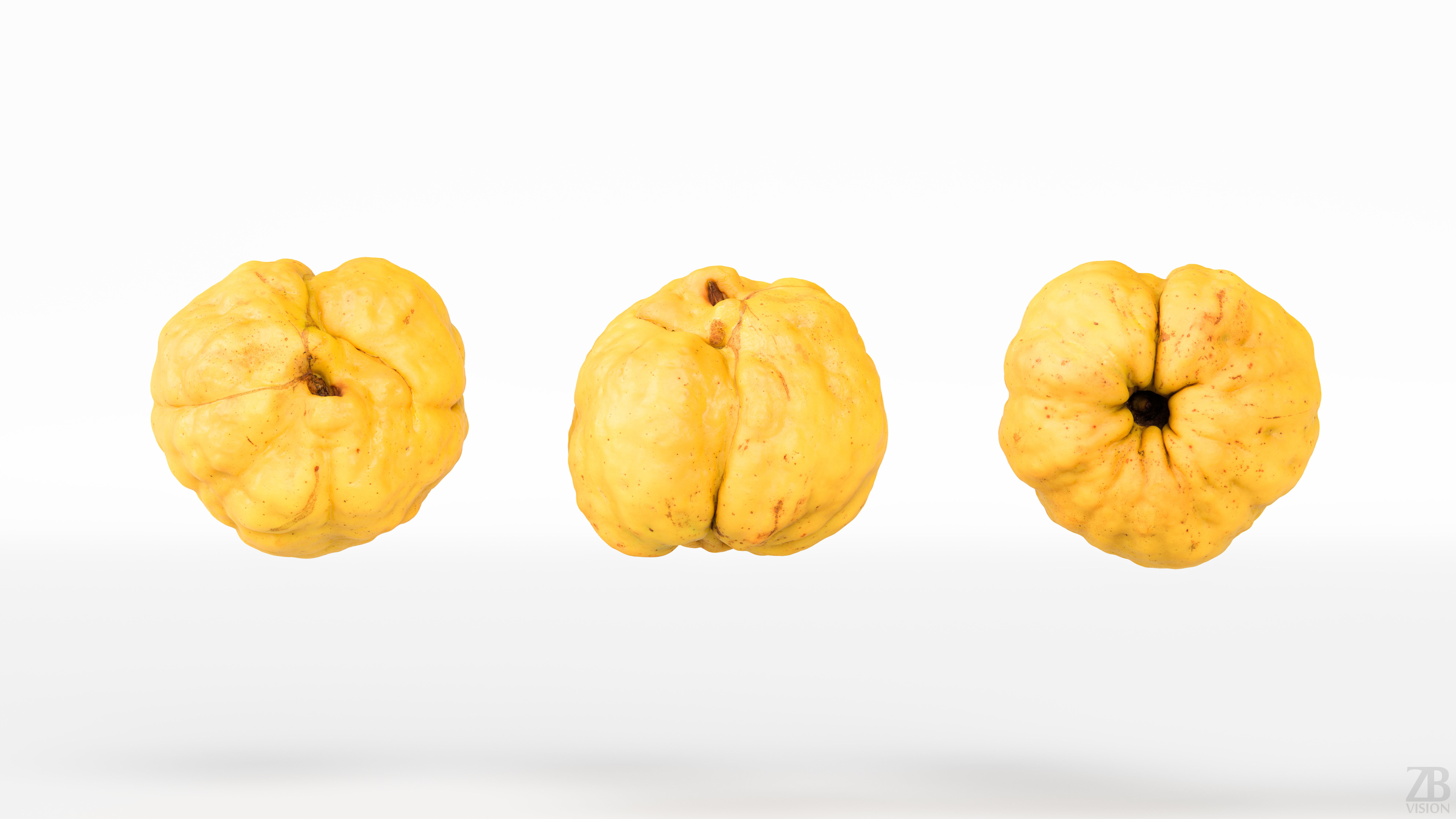 Chaenomeles 3D model_4