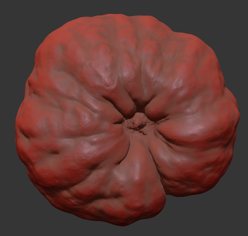 Chaenomeles 3D model_7