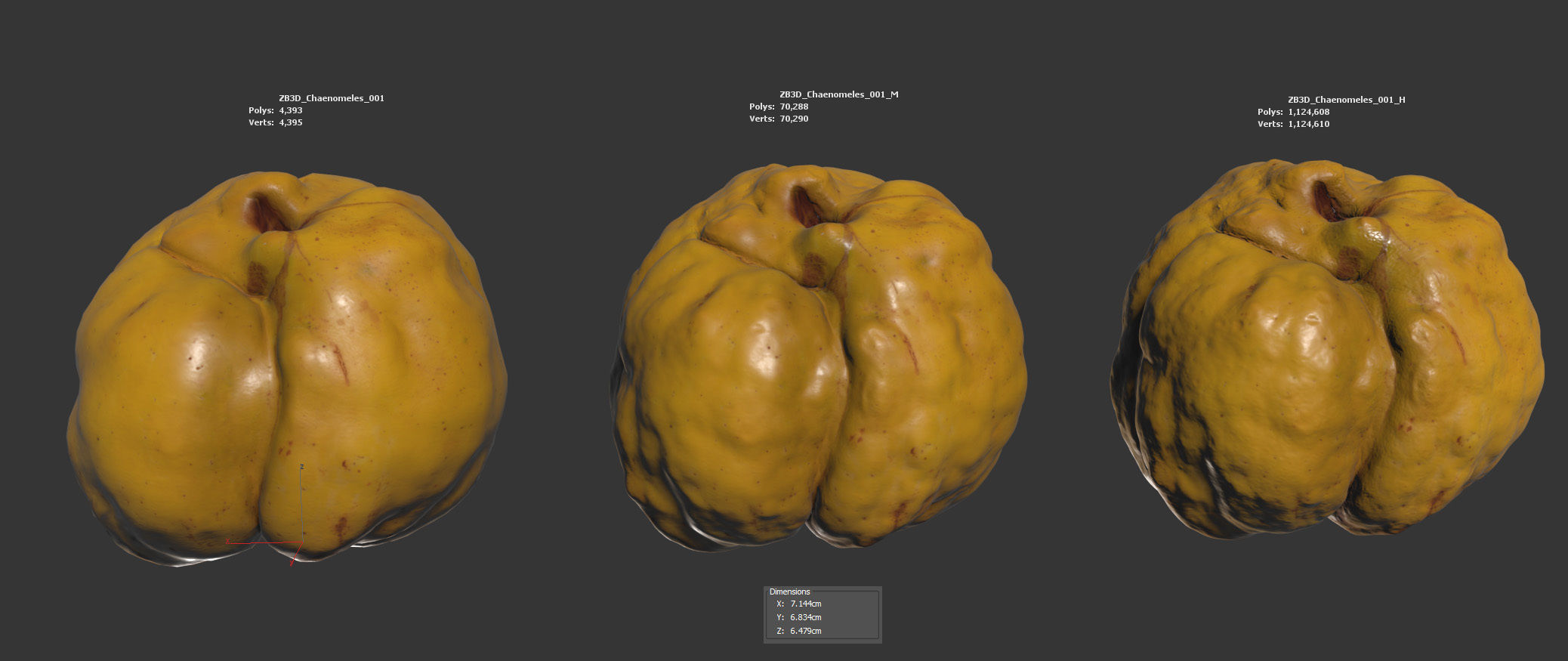 Chaenomeles 3D model_5