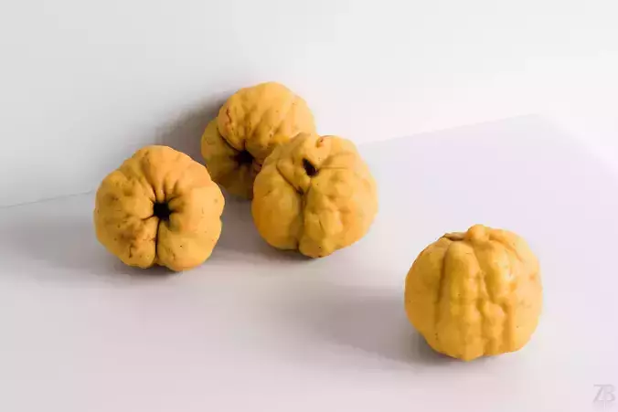 Chaenomeles 3D model