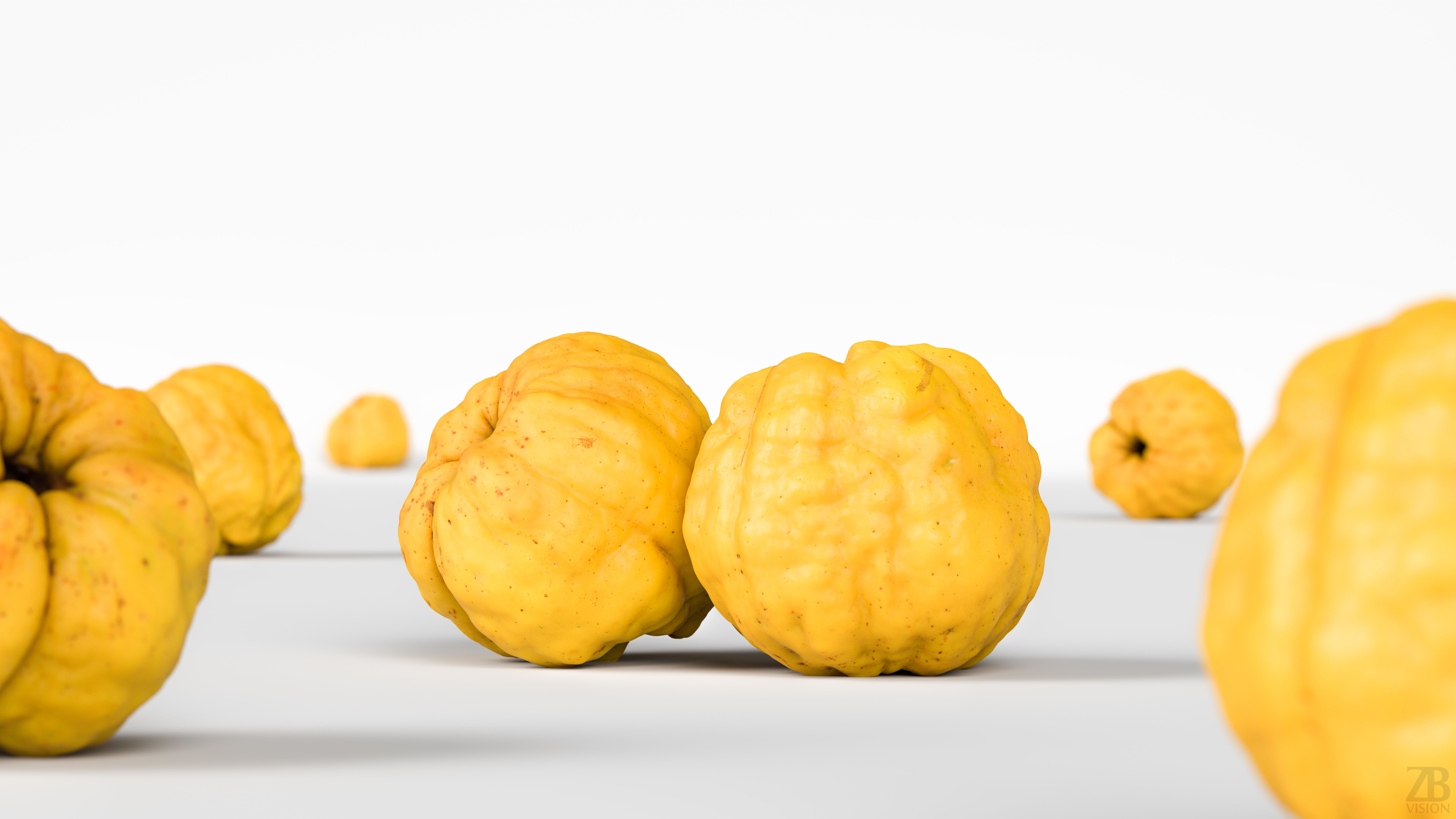 Chaenomeles 3D model_1