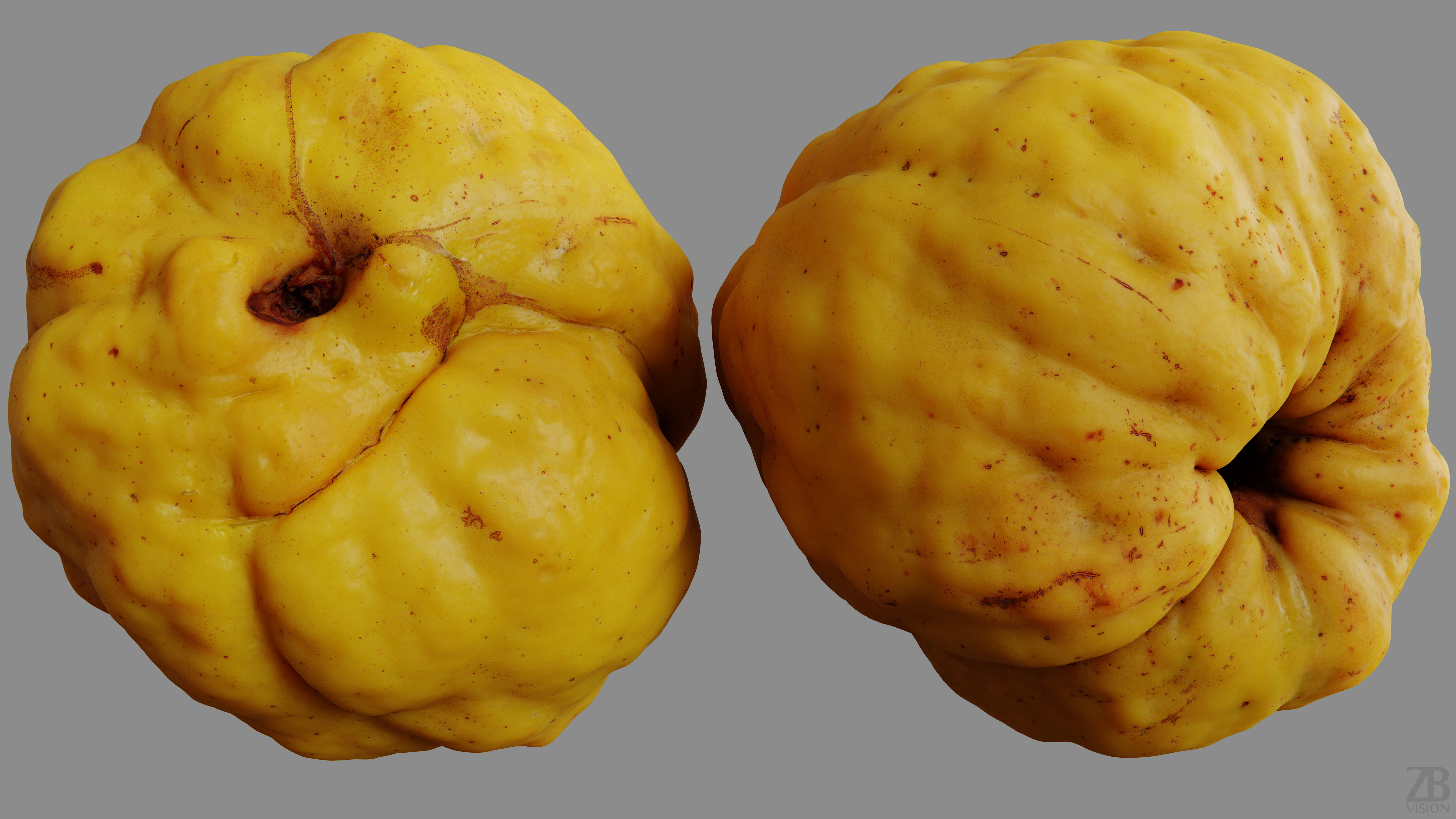 Chaenomeles 3D model_9