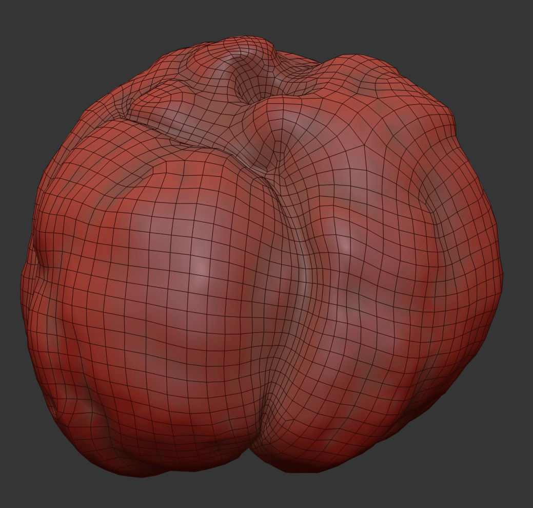 Chaenomeles 3D model_6