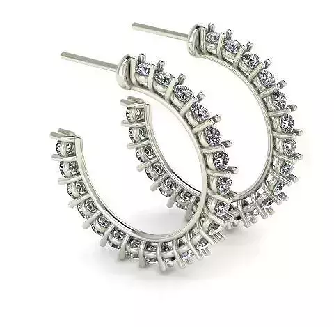 1 earrings