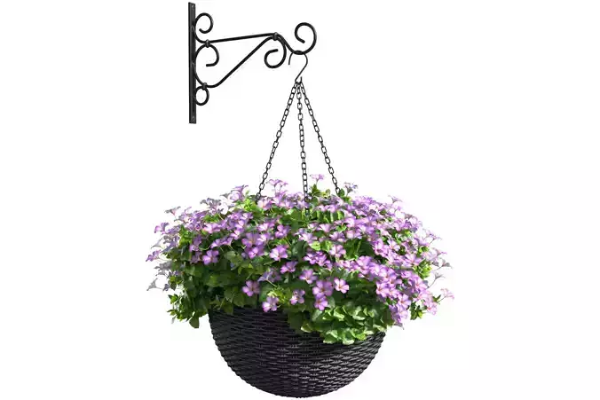 Hanging basket flowerpot rattan pot with flowers