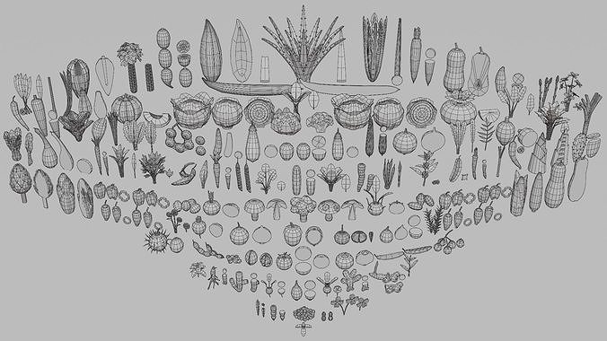 Ultimate Pack - Fruits And Vegetables Model Packs Collection 7