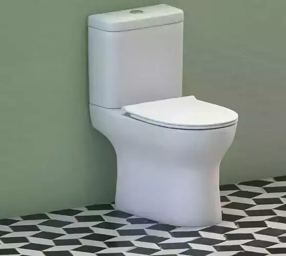 toilet