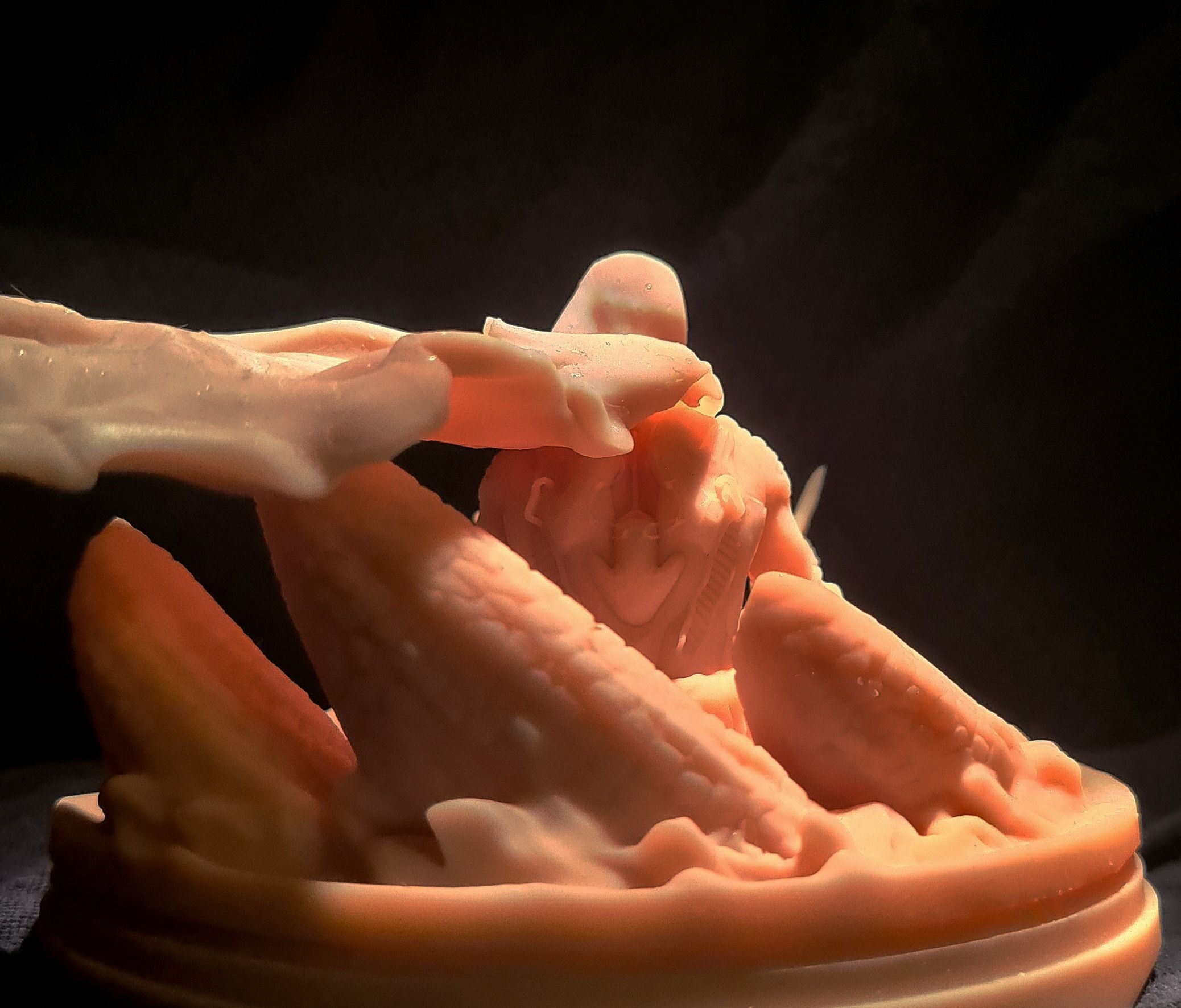 DUNE - MuadDib Paul Atreides - Arrakis Fremen - SCULPTURE 3D print model_40