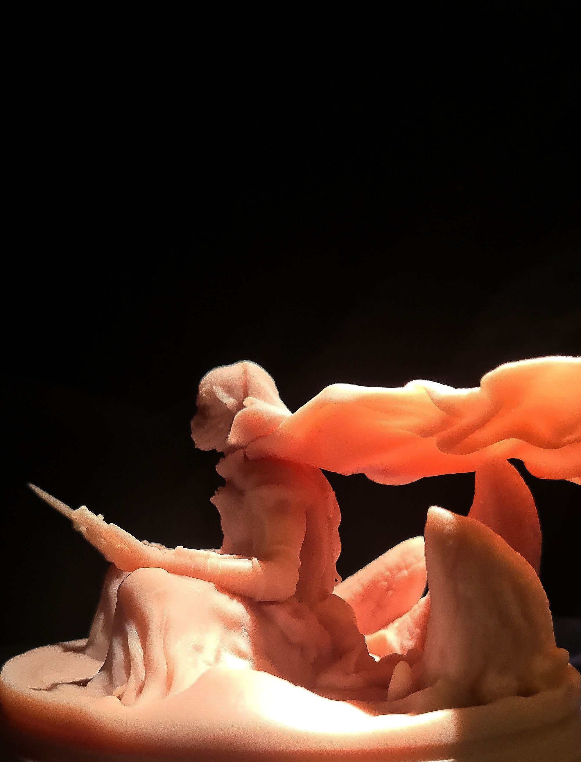 DUNE - MuadDib Paul Atreides - Arrakis Fremen - SCULPTURE 3D print model_38