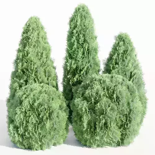 Thuja Smaragd Collection vol 138-Blender 3D model