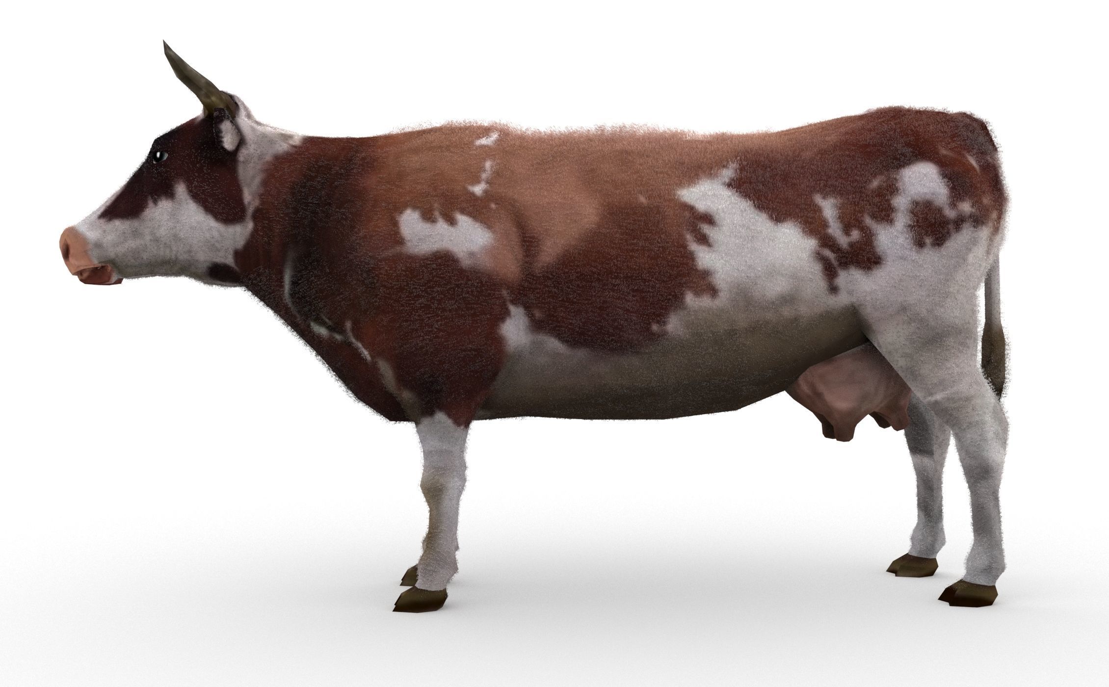 Dairy Cow Low-poly 3D model_2