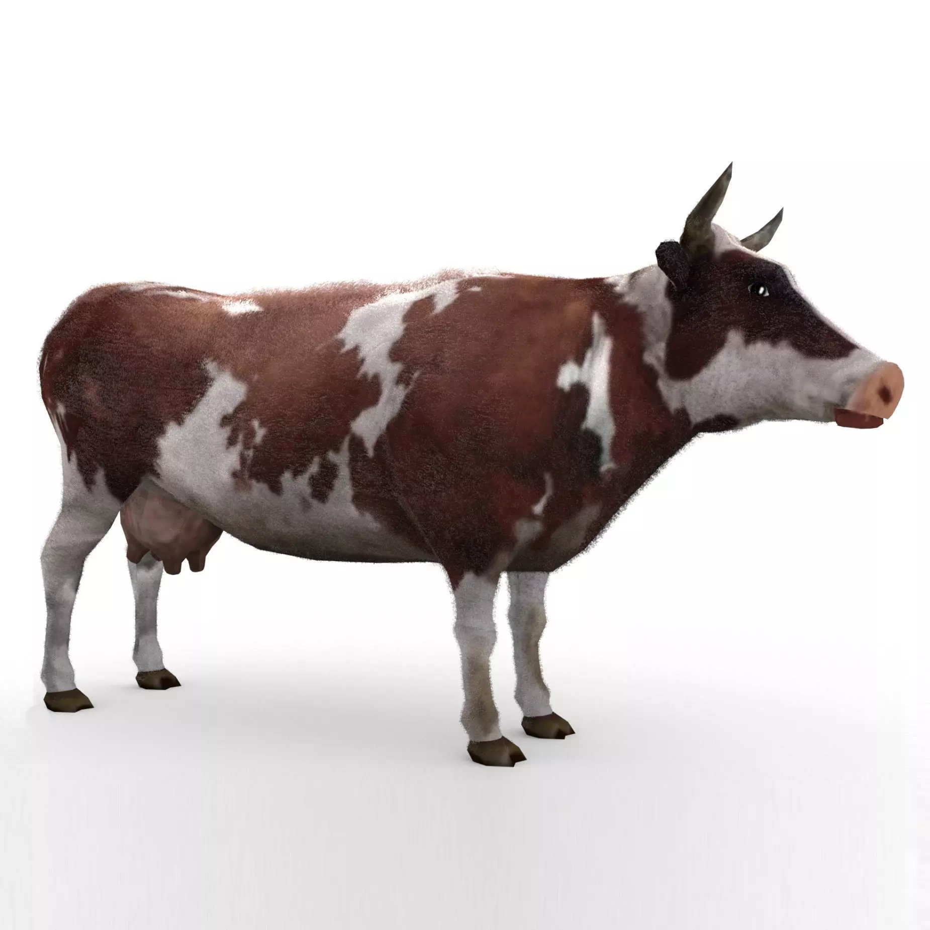 Dairy Cow Low-poly 3D model_0
