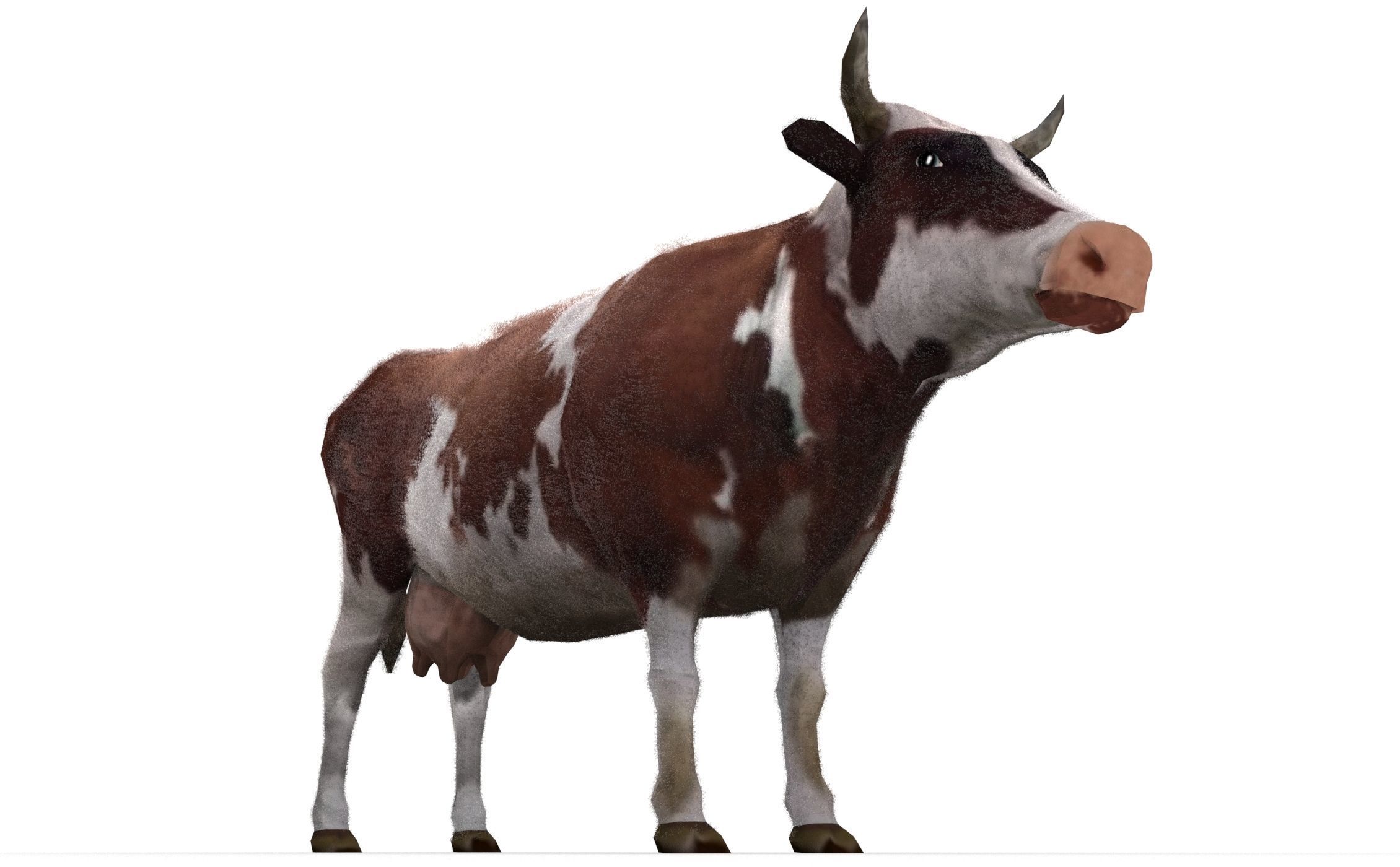 Dairy Cow Low-poly 3D model_4