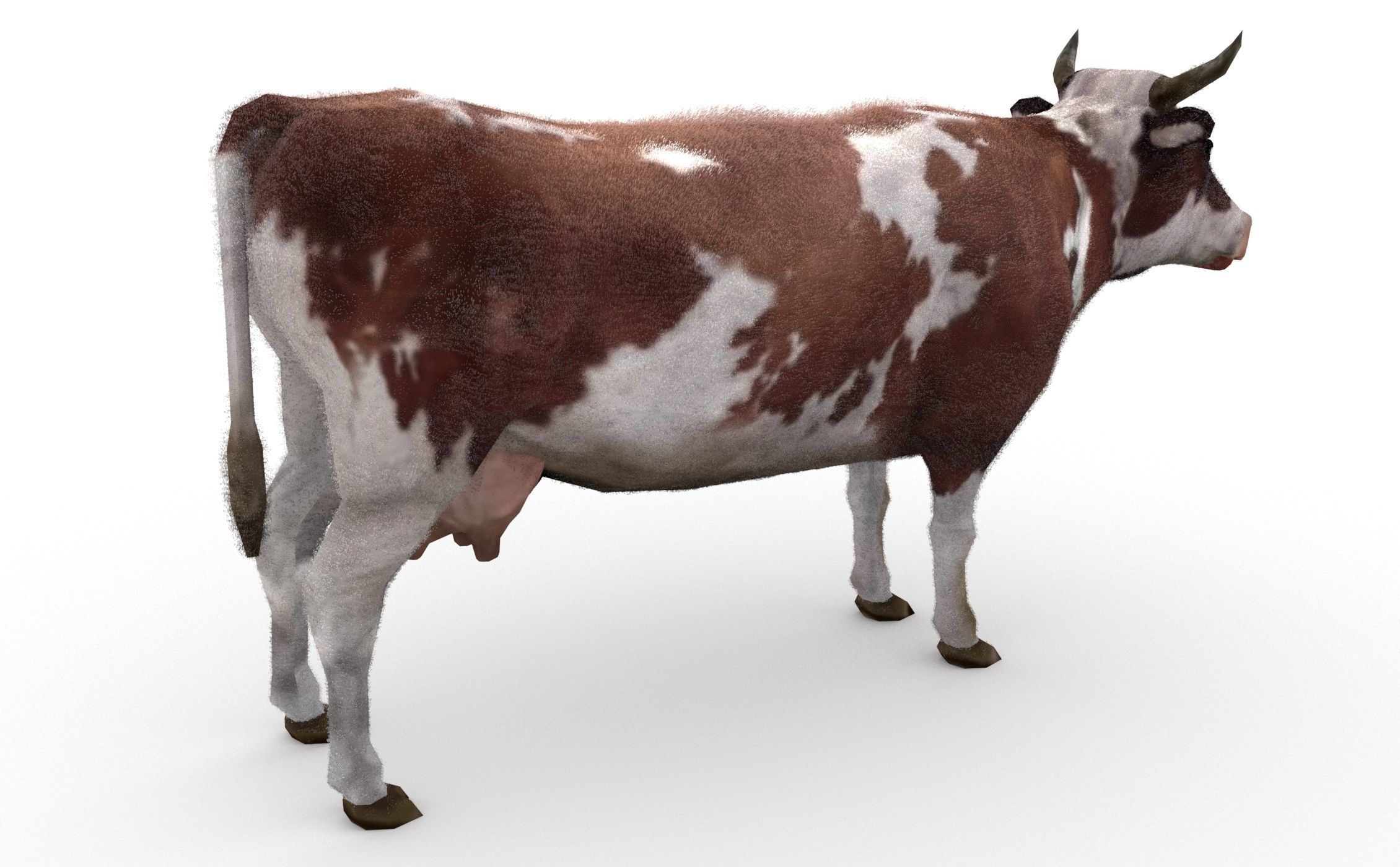 Dairy Cow Low-poly 3D model_1