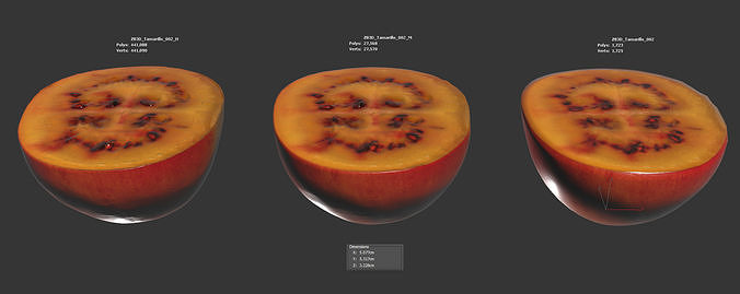Tamarillo 3D model 6