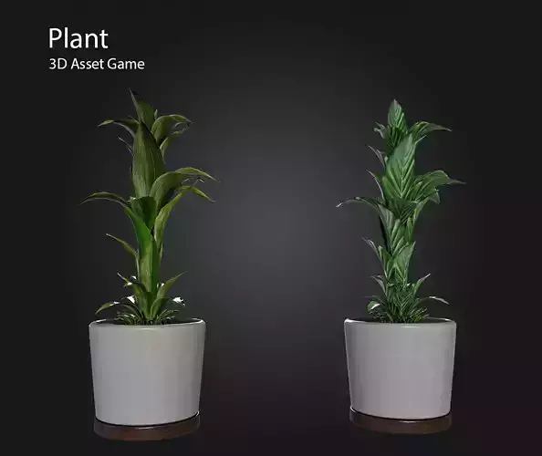 Plant Low-poly 3D model