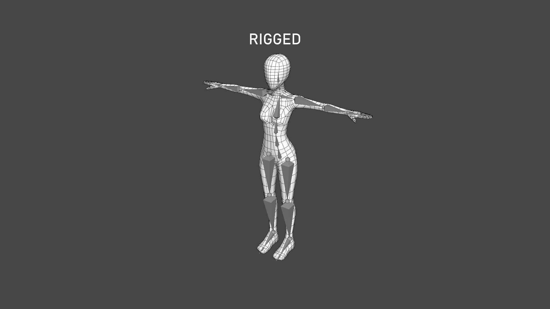 Female Base Mesh - Rigged Low-poly 3D model_3