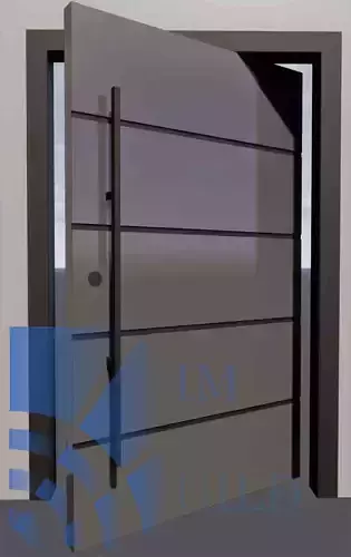 Revit door family  full parametric 3D model
