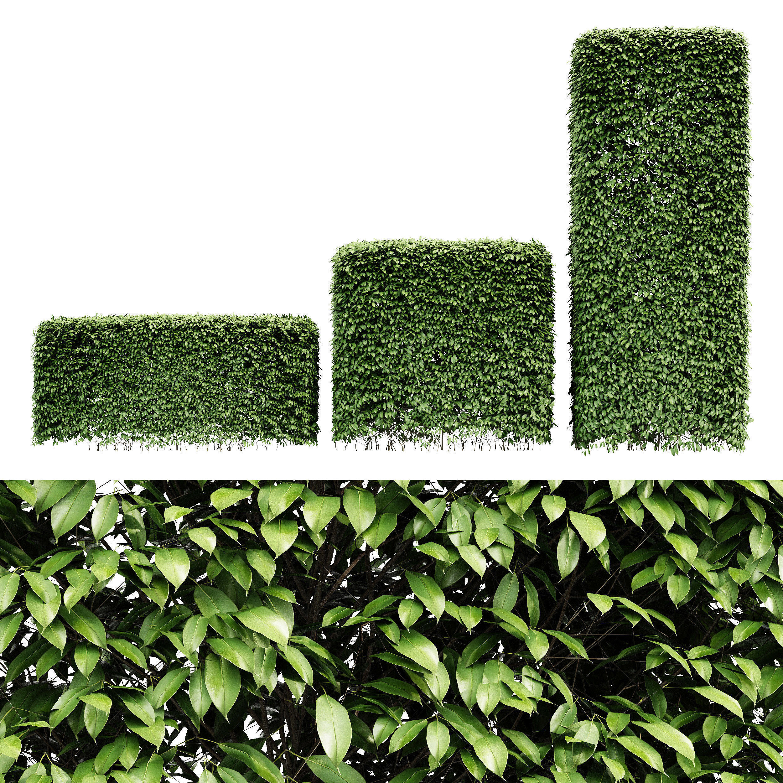 6 Different SETS of Tree Bush SET VOL103 3D Model Collection_10