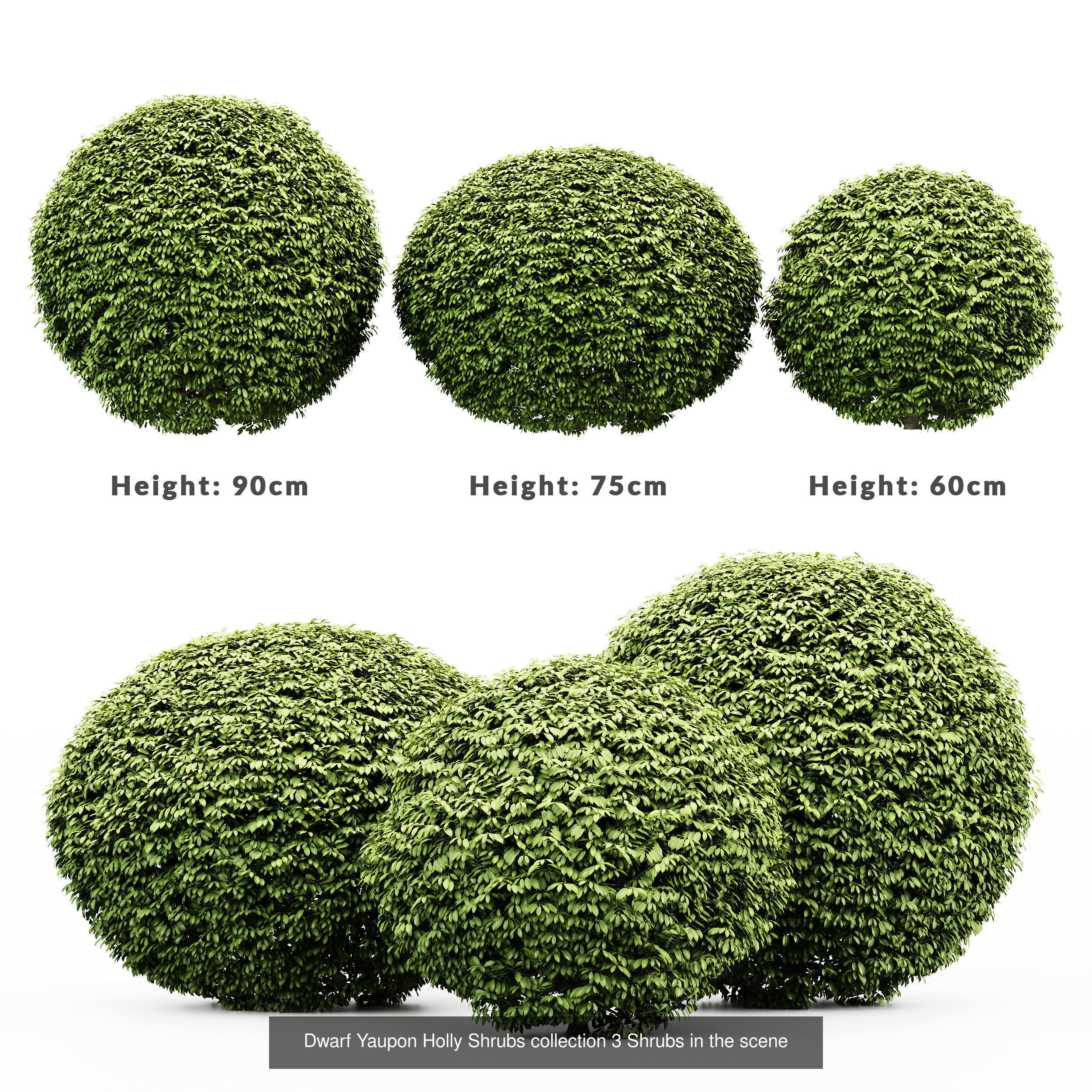 6 Different SETS of Tree Bush SET VOL103 3D Model Collection_4