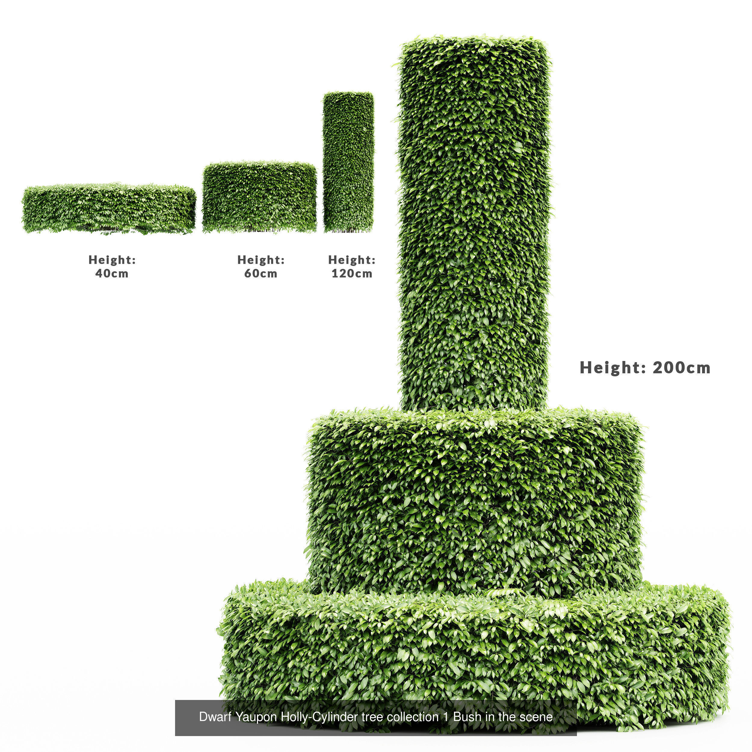 6 Different SETS of Tree Bush SET VOL103 3D Model Collection_5