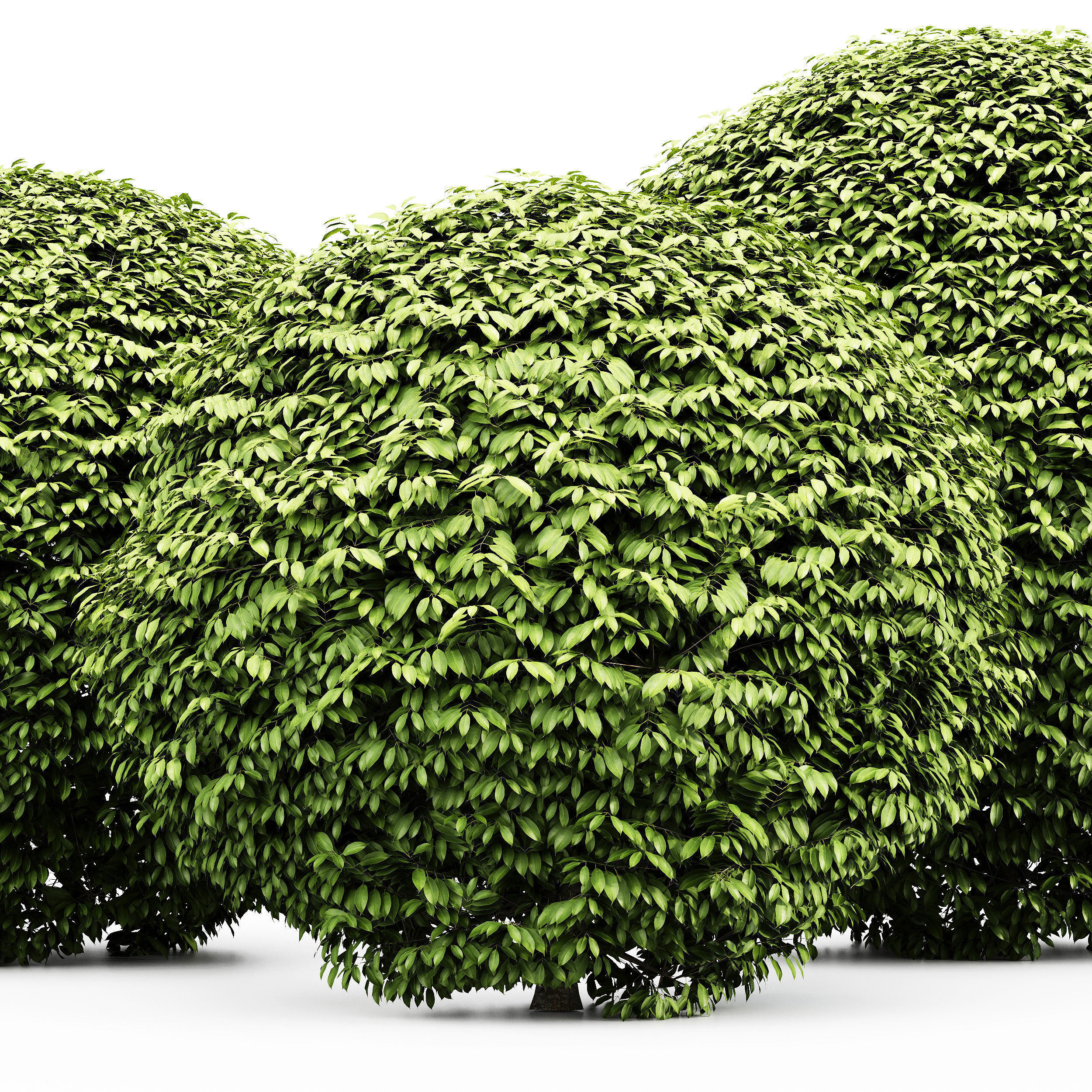 6 Different SETS of Tree Bush SET VOL103 3D Model Collection_16