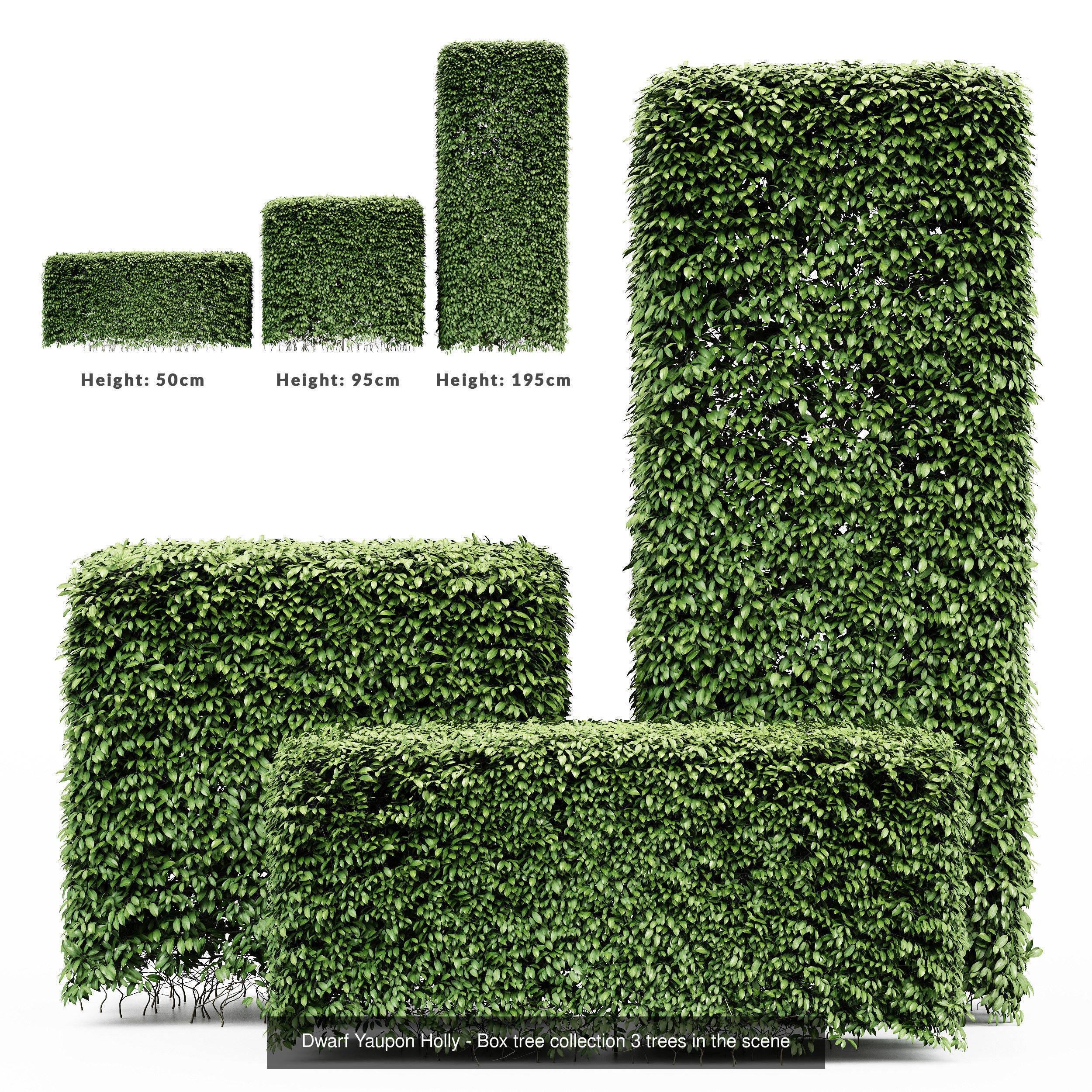 6 Different SETS of Tree Bush SET VOL103 3D Model Collection_3