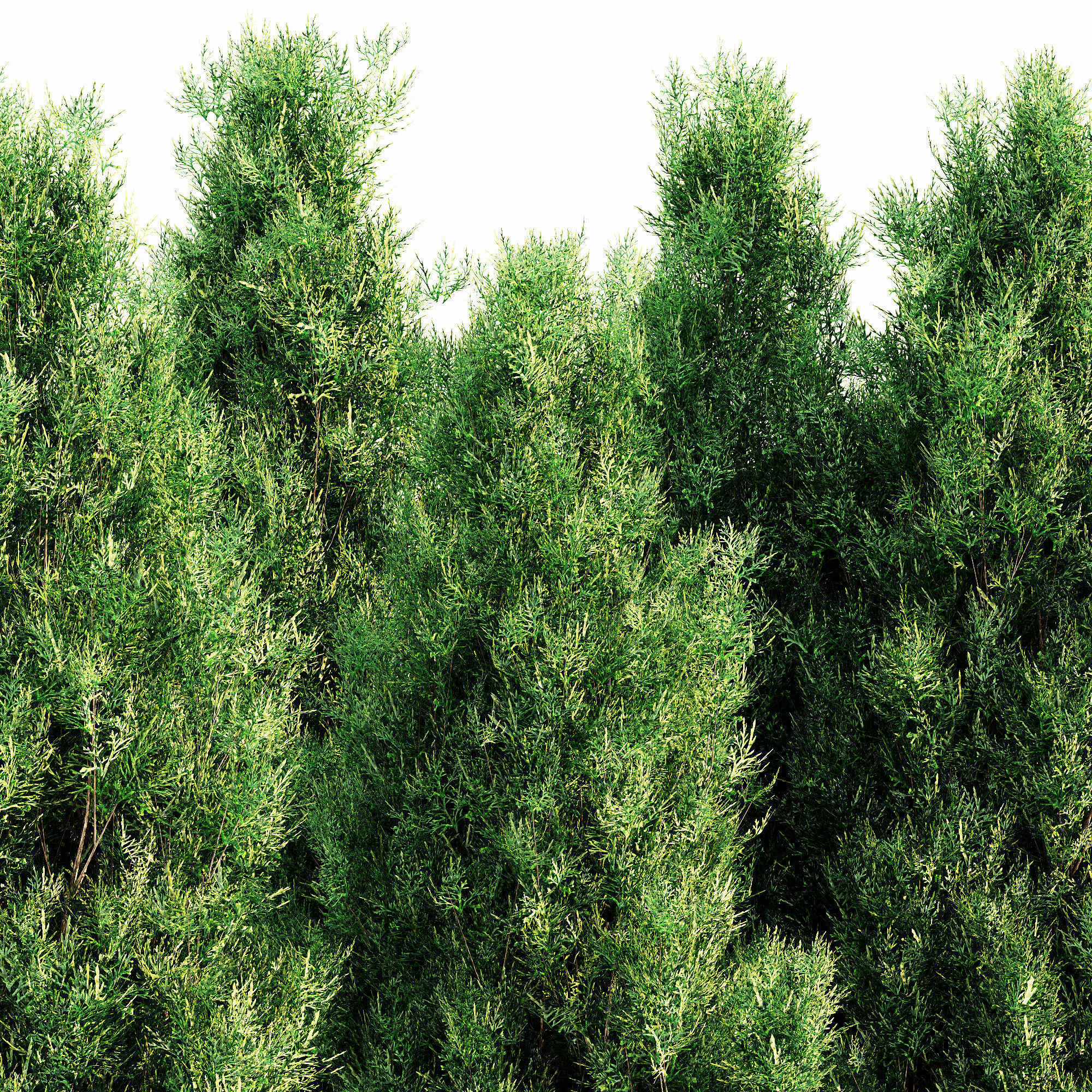 6 Different SETS of Tree Bush SET VOL103 3D Model Collection_15