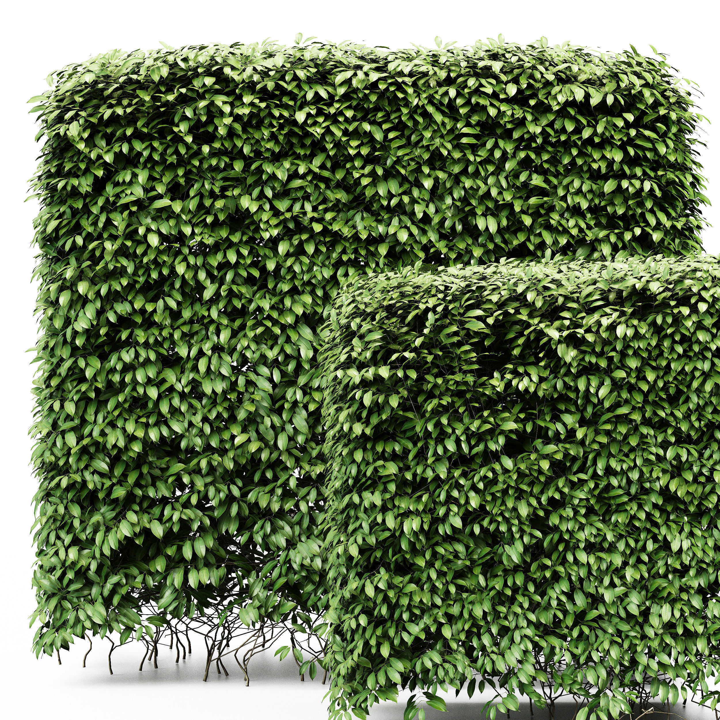 6 Different SETS of Tree Bush SET VOL103 3D Model Collection_17