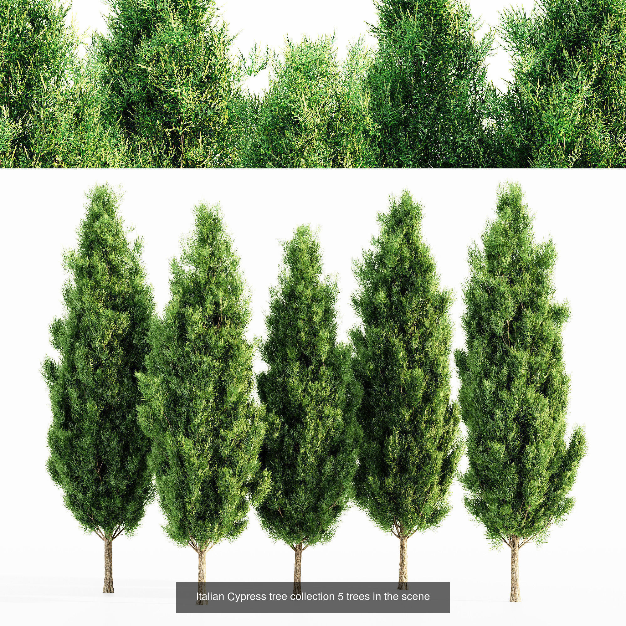 6 Different SETS of Tree Bush SET VOL103 3D Model Collection_1