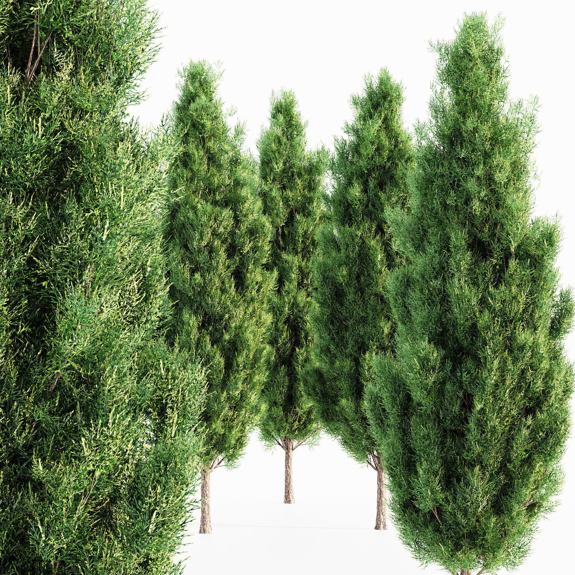 6 Different SETS of Tree Bush SET VOL103 3D Model Collection_12