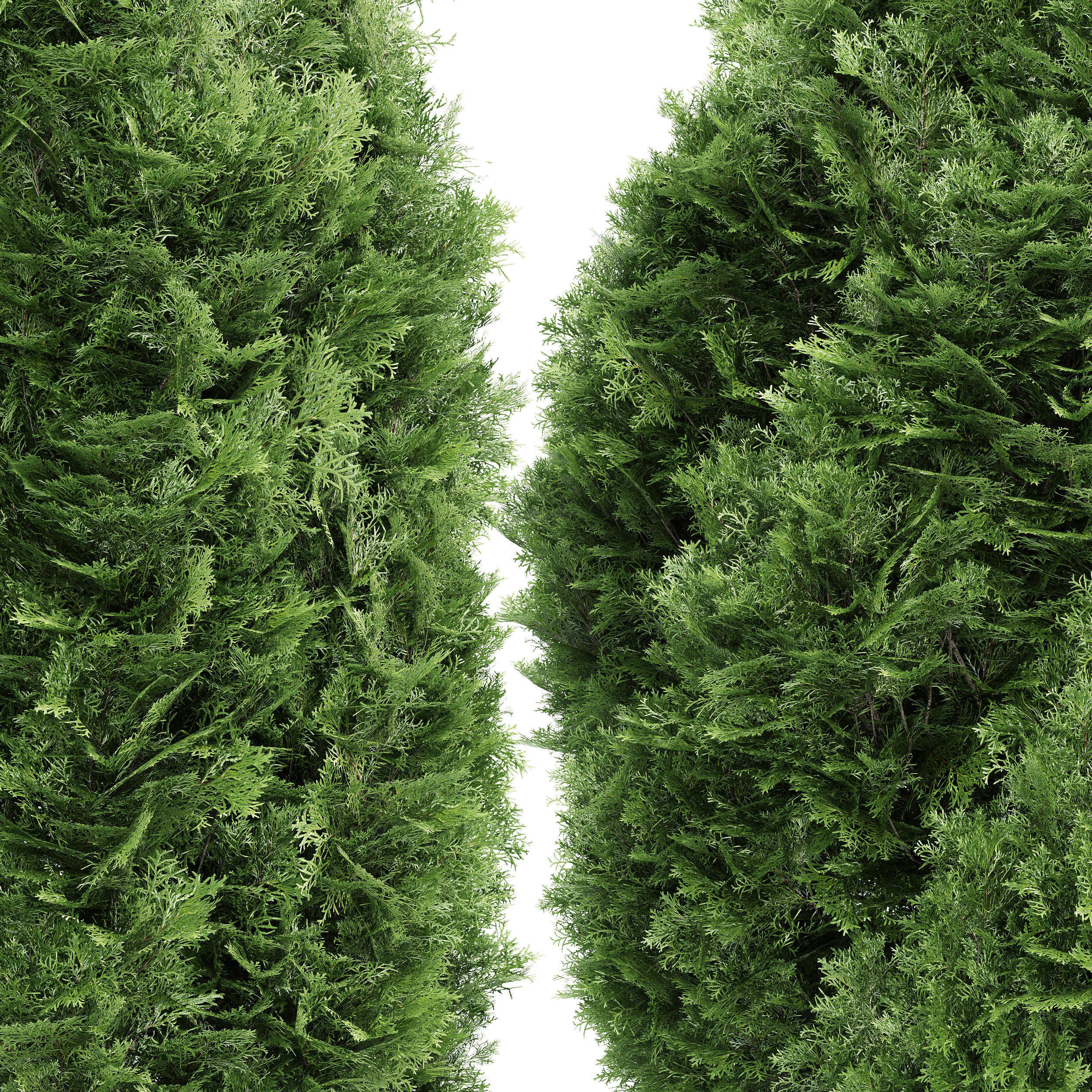 6 Different SETS of Tree Bush SET VOL103 3D Model Collection_11