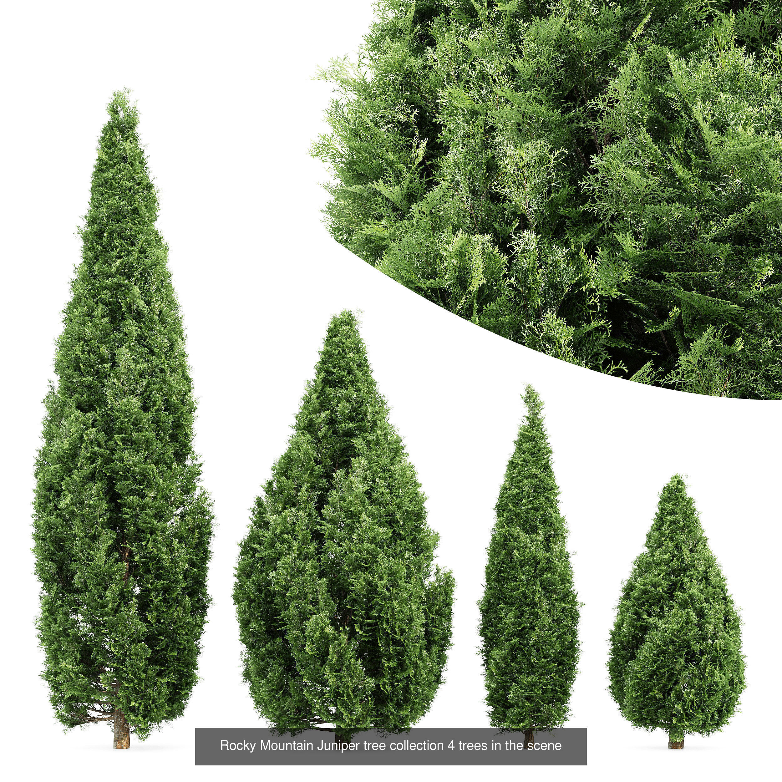 6 Different SETS of Tree Bush SET VOL103 3D Model Collection_2