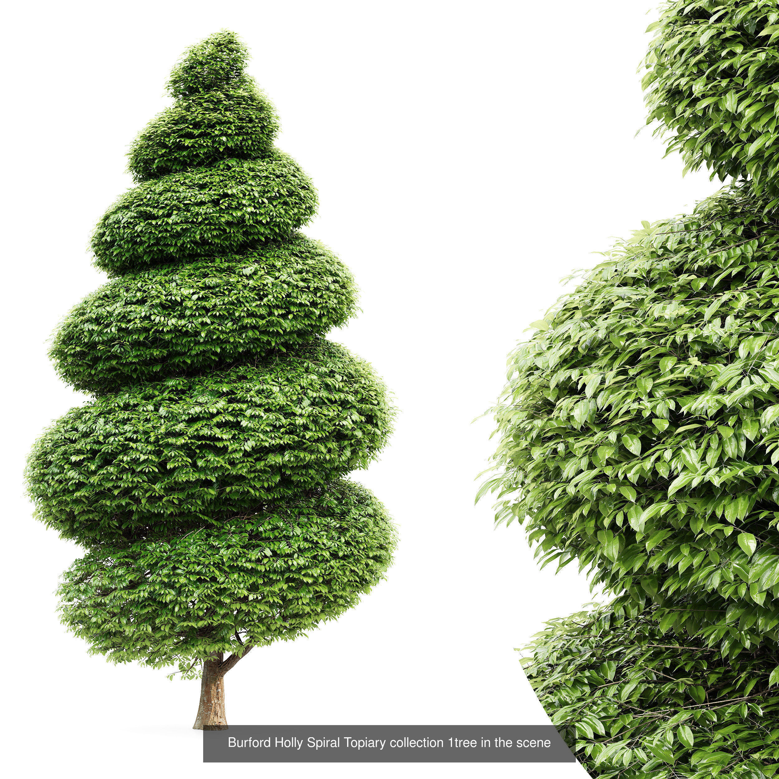 6 Different SETS of Tree Bush SET VOL103 3D Model Collection_6