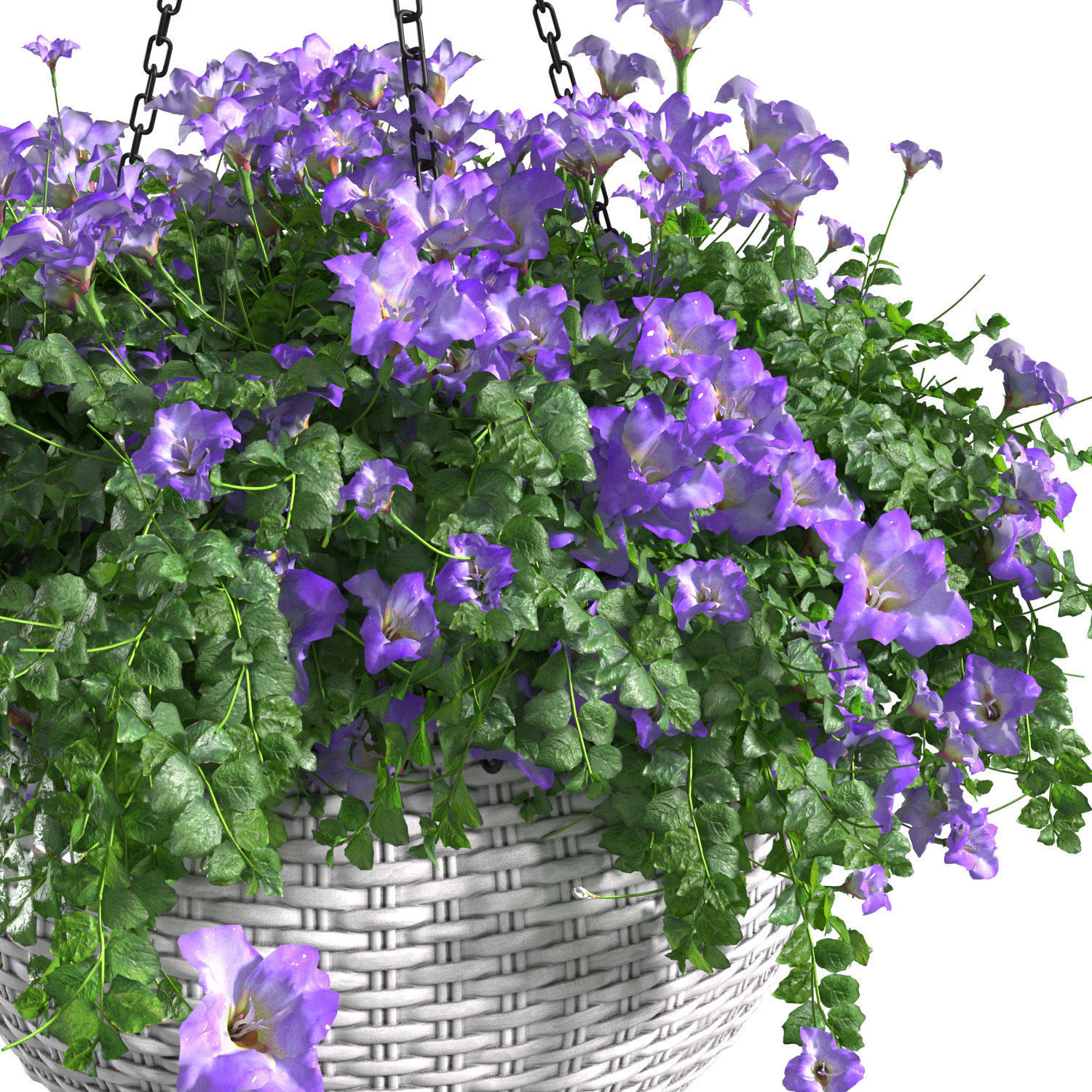 Hanging basket flowerpot rattan pot with flowers 3D model_1