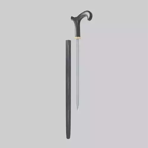 Cane Sword