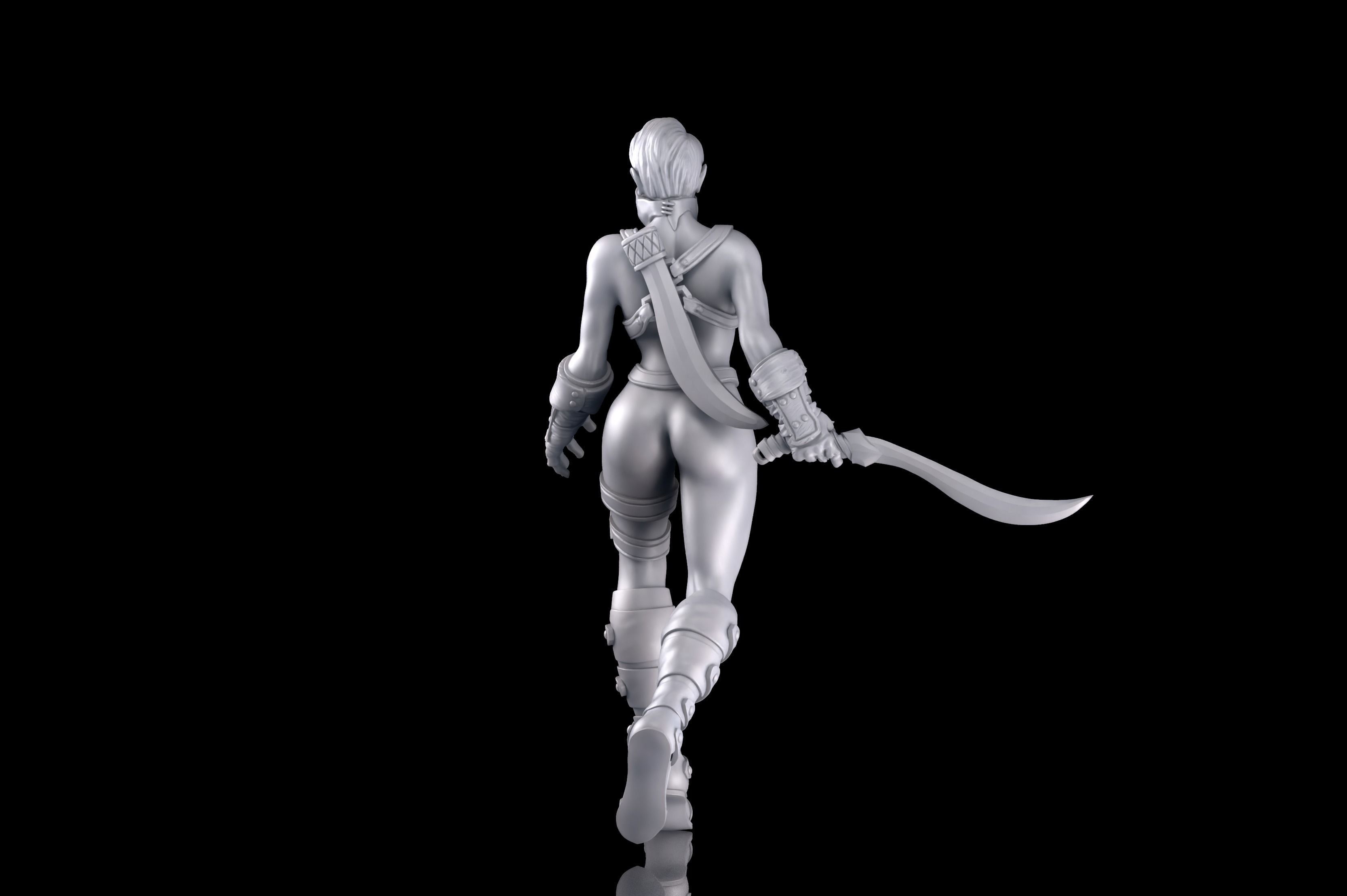 Zana the Rogue Roleplay and Tabletop Miniature 3D print model_4