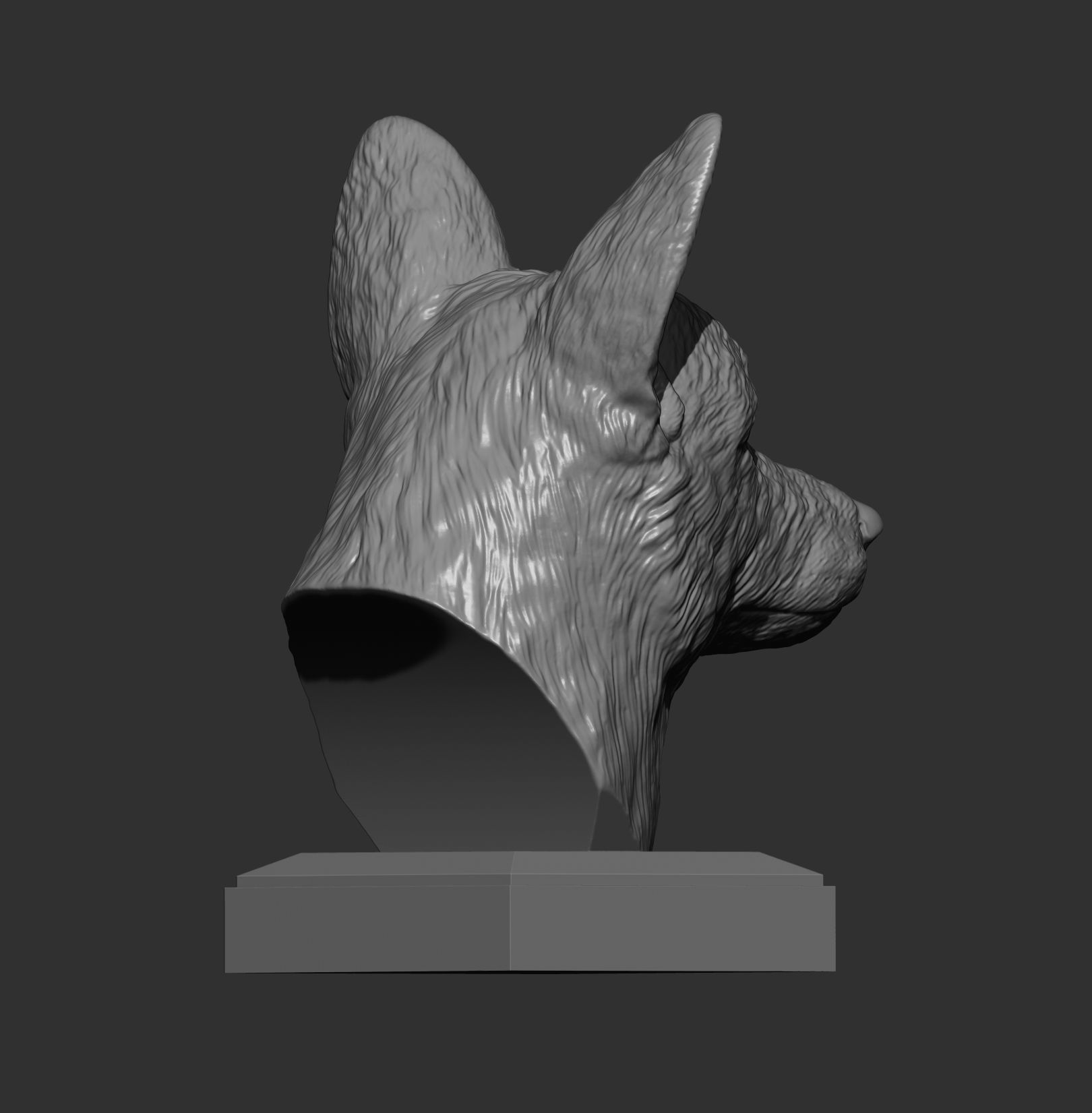 Cardigan Corgi Bust 3D print model 3D print model_7