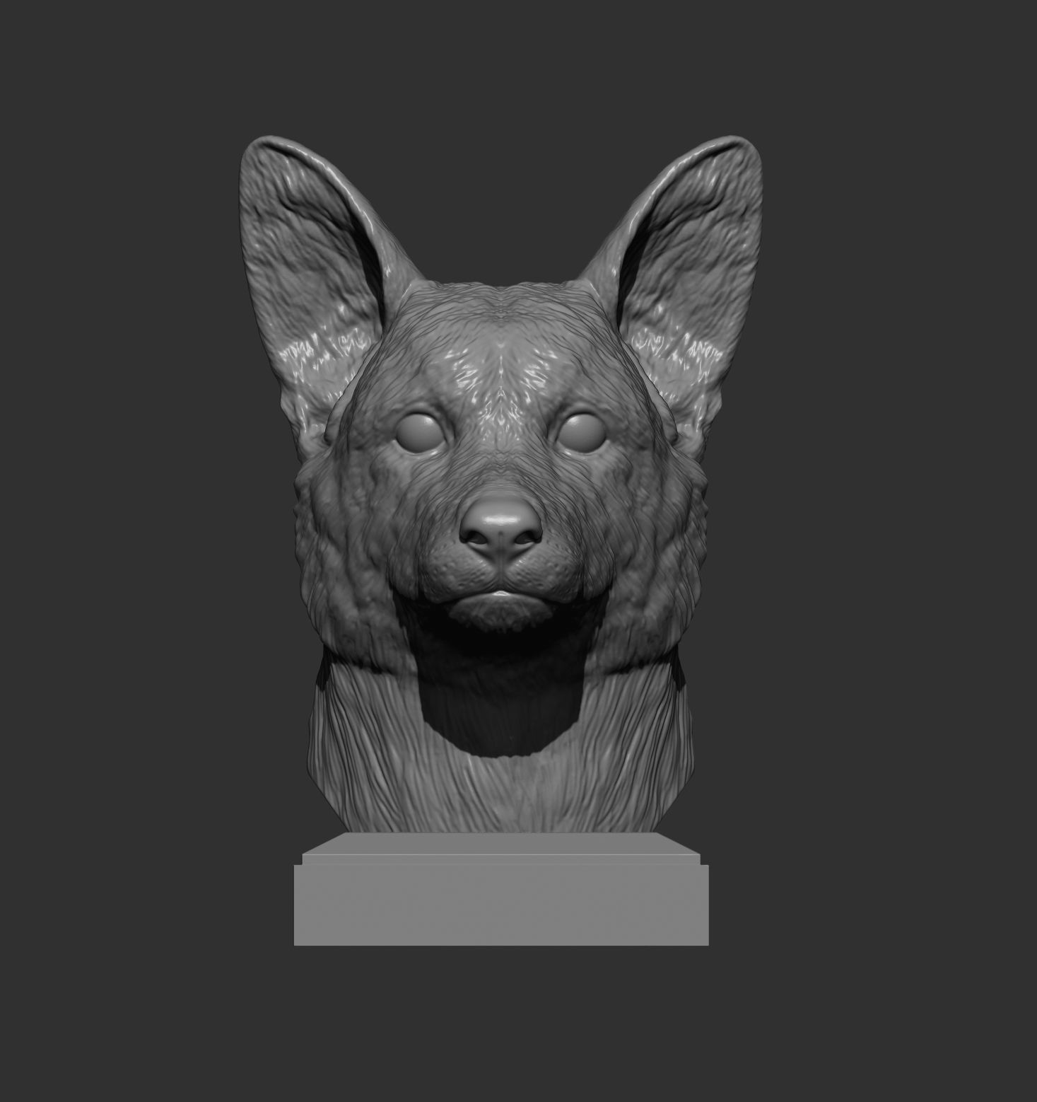Cardigan Corgi Bust 3D print model 3D print model_5