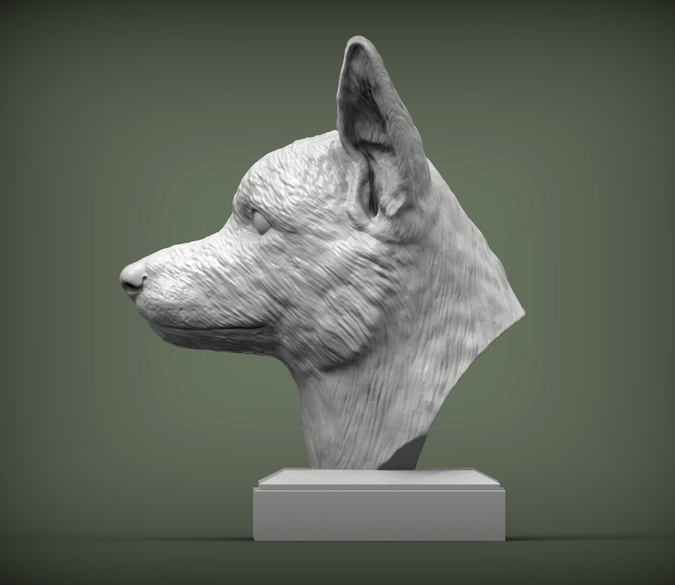 Cardigan Corgi Bust 3D print model 3D print model_2