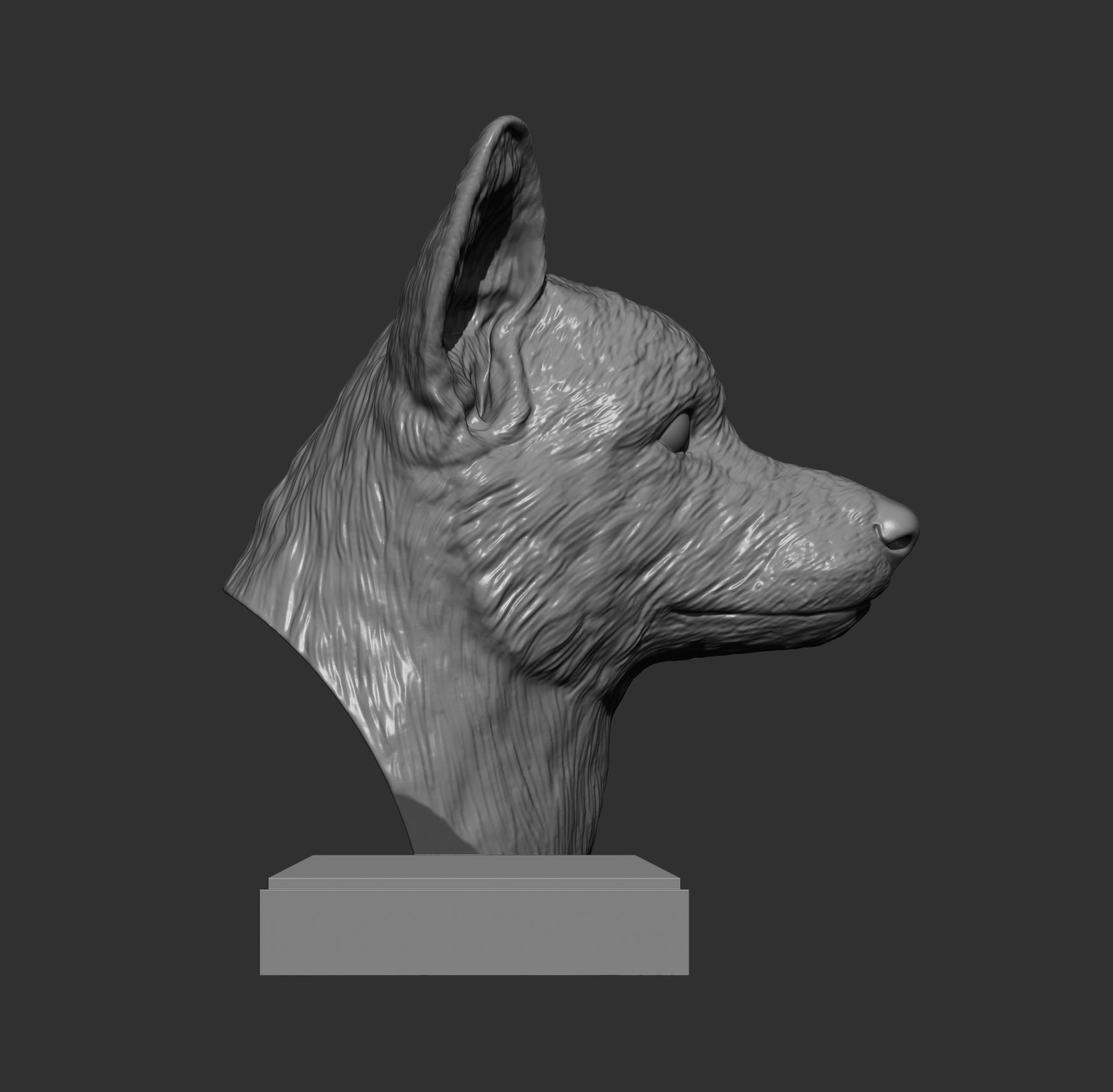 Cardigan Corgi Bust 3D print model 3D print model_6