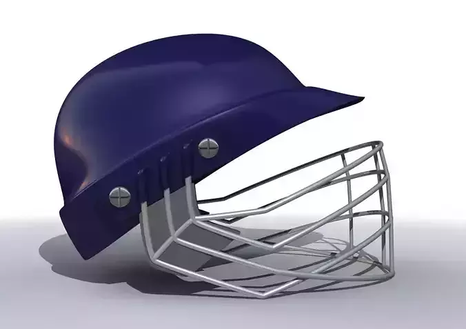 Cricket Helmet