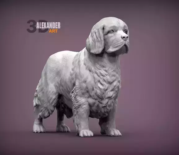 Clumber spaniel