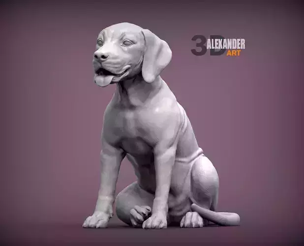Fila Brasileiro puppy