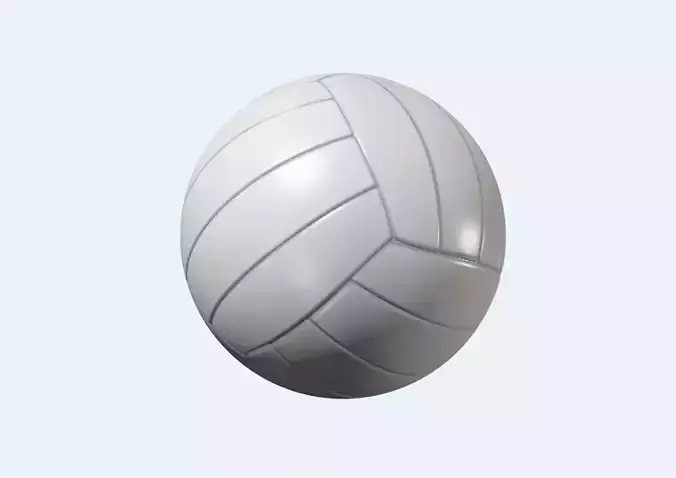 Volleyball Ball