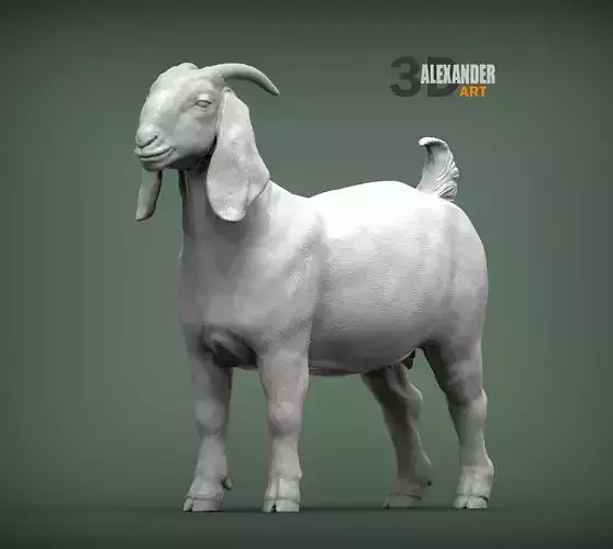 Boer Goats female 3D print model