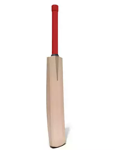 Generic Cricket Bat